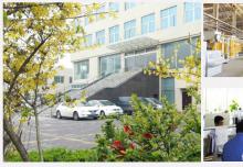 中國全自動水泥空心磚機的領軍品牌！