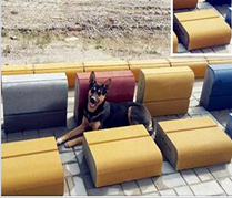 銀馬路沿石磚機